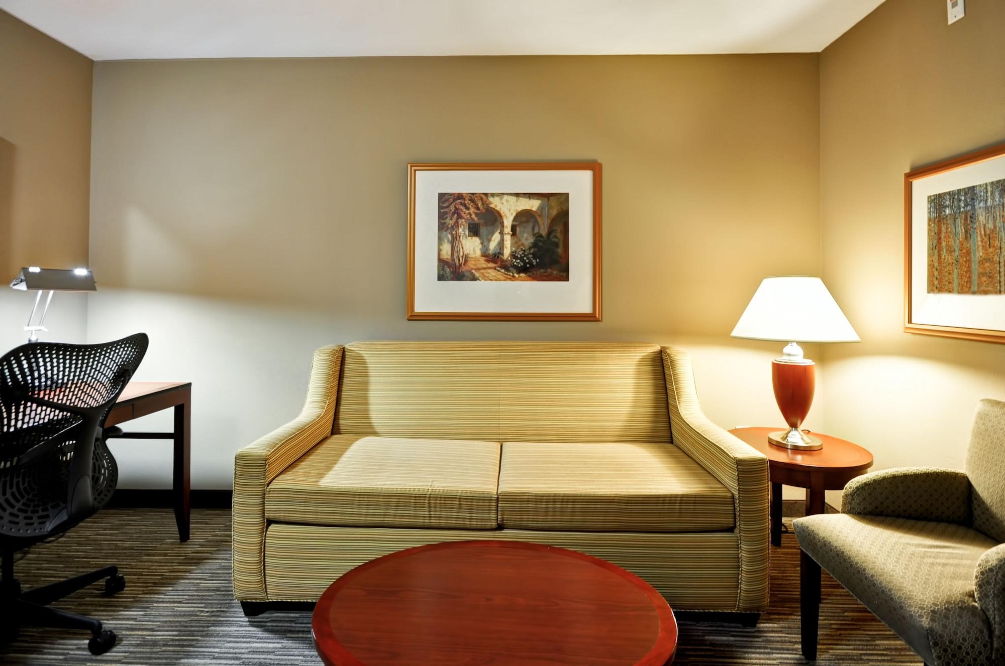 Hotel Hilton Garden Tampa Northwest/oldsmar