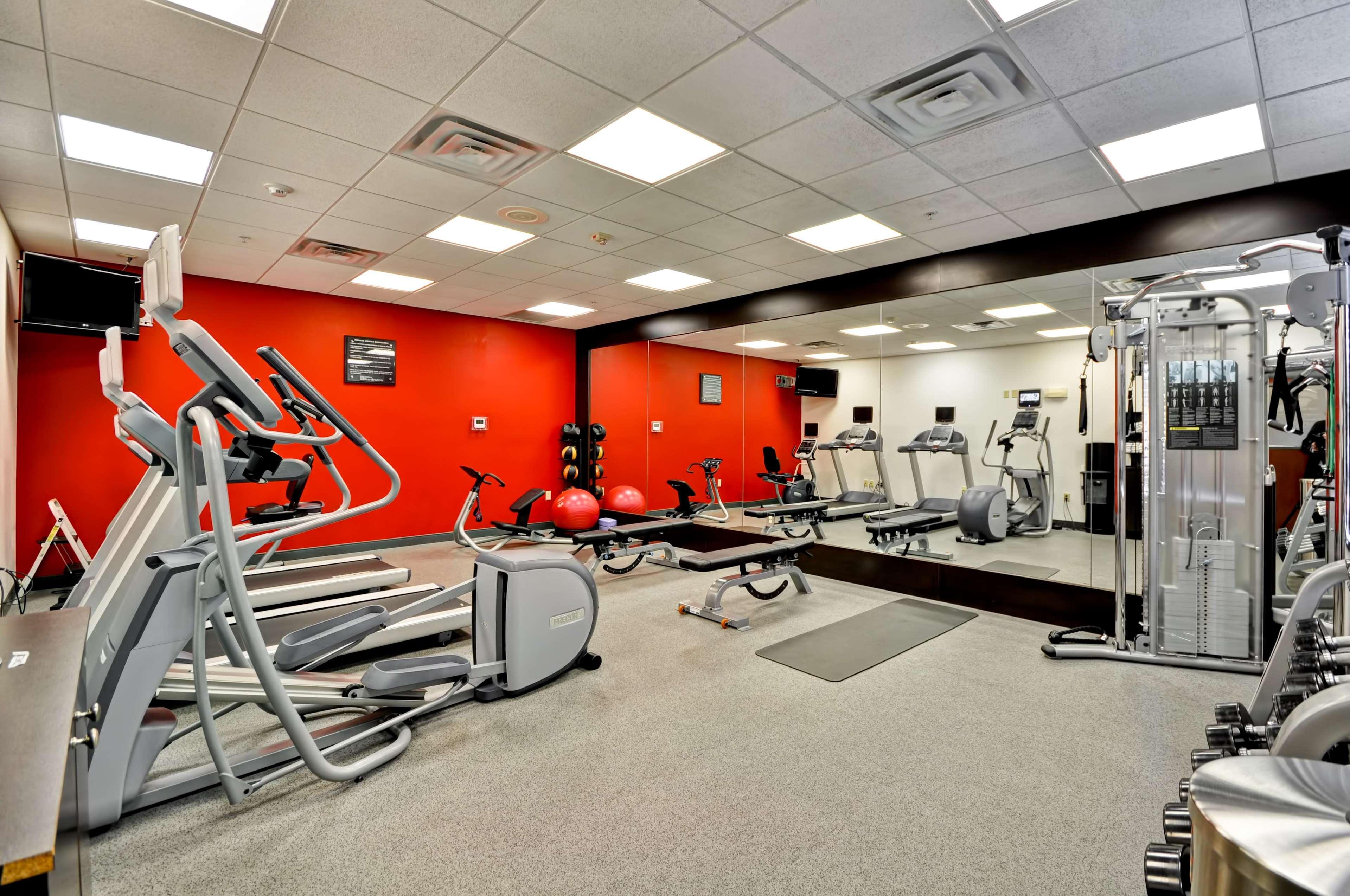 Hilton Garden Tampa Northwest/oldsmar Oldsmar