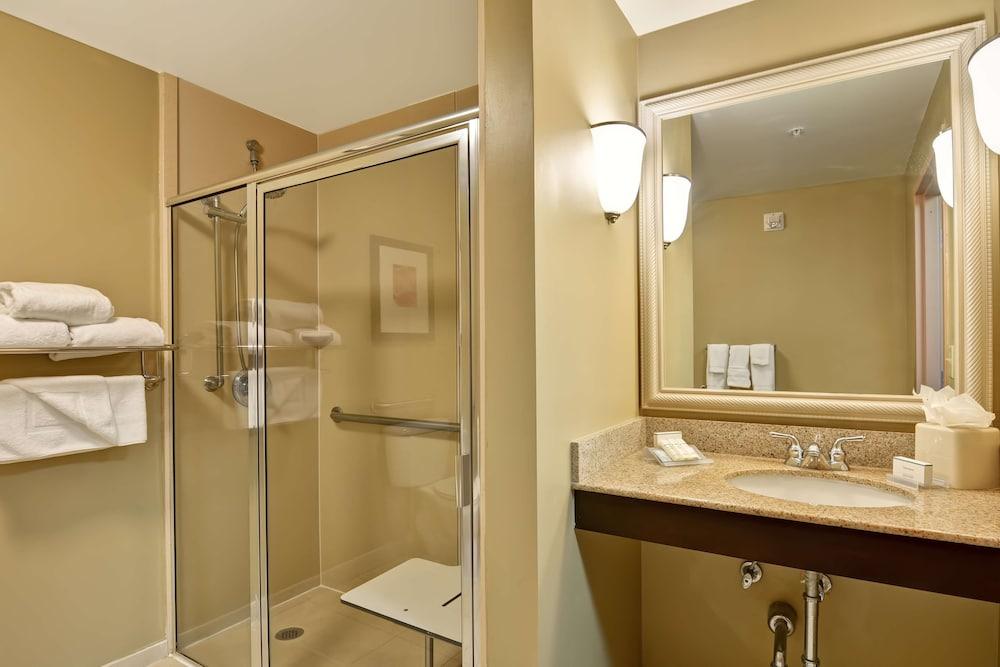 Hilton Garden Tampa Northwest/oldsmar Hotel