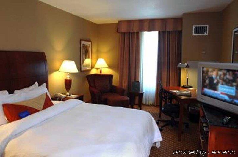 Hotel Hilton Garden Tampa Northwest/oldsmar