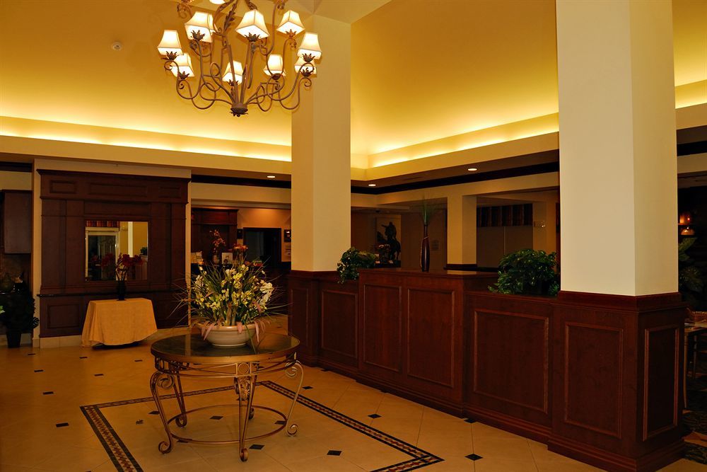 Hotel Hilton Garden Tampa Northwest/oldsmar 3*