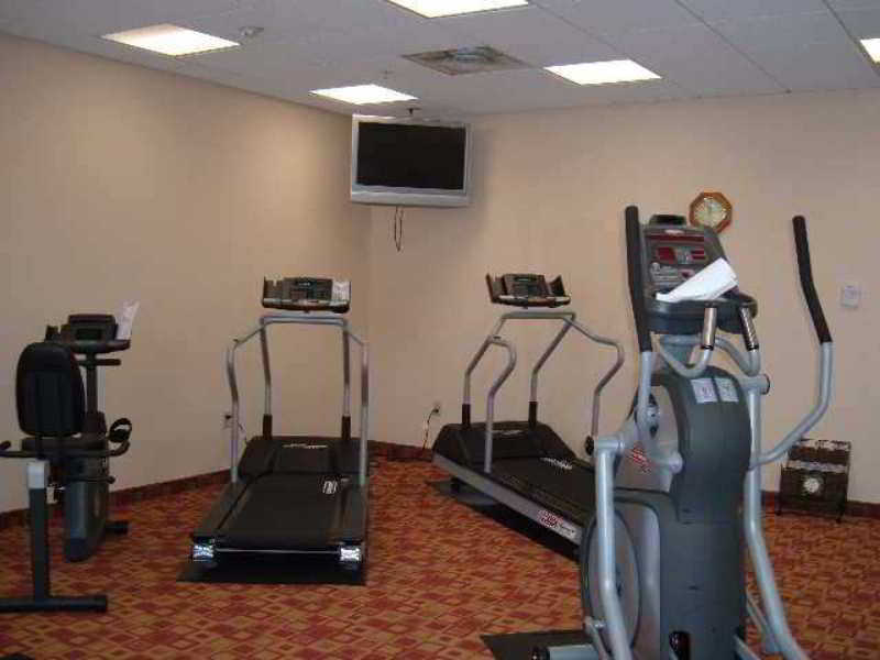 Hilton Garden Tampa Northwest/oldsmar Hotel Oldsmar